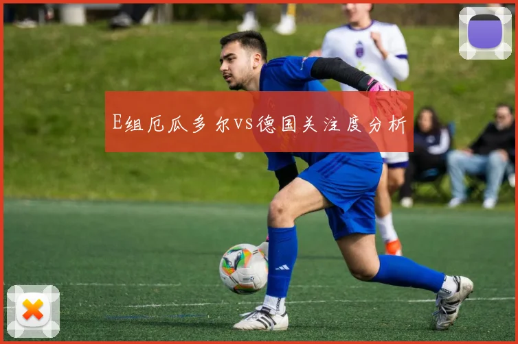 E组厄瓜多尔vs德国关注度分析