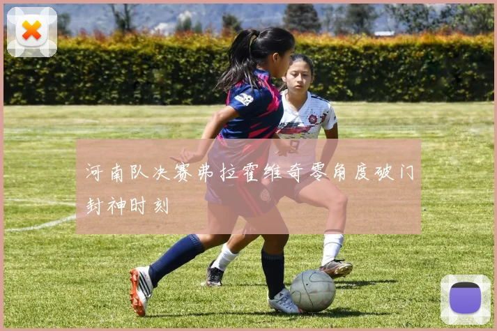 河南队决赛弗拉霍维奇零角度破门封神时刻