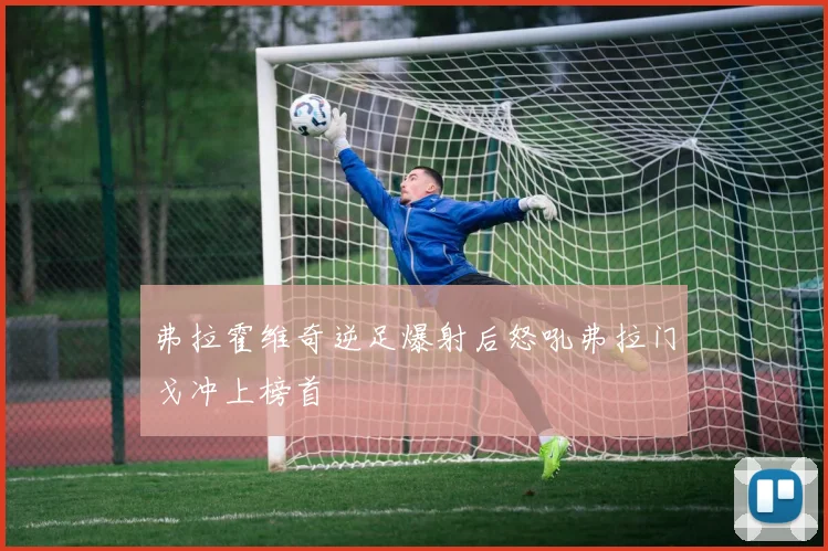 弗拉霍维奇逆足爆射后怒吼弗拉门戈冲上榜首