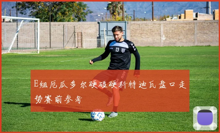 E组厄瓜多尔硬碰硬科特迪瓦盘口走势赛前参考