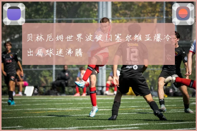 贝林厄姆世界波破门塞尔维亚爆冷出局球迷沸腾