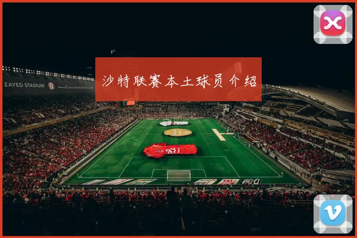 沙特联赛本土球员介绍