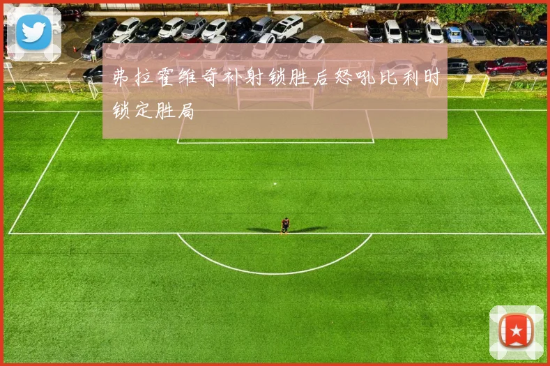 弗拉霍维奇补射锁胜后怒吼比利时锁定胜局
